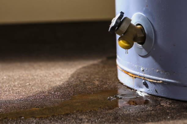 Carpet water damage restoration in Corcoran, CA