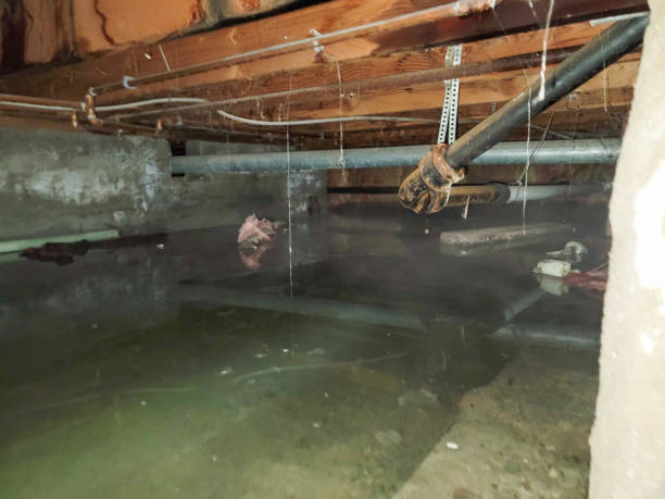 Best Water damage cleanup near me  in Corcoran, CA