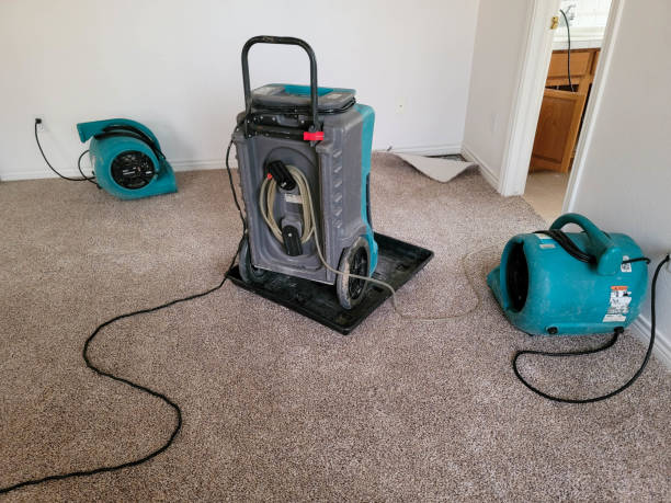 Best Professional water damage repair  in Corcoran, CA