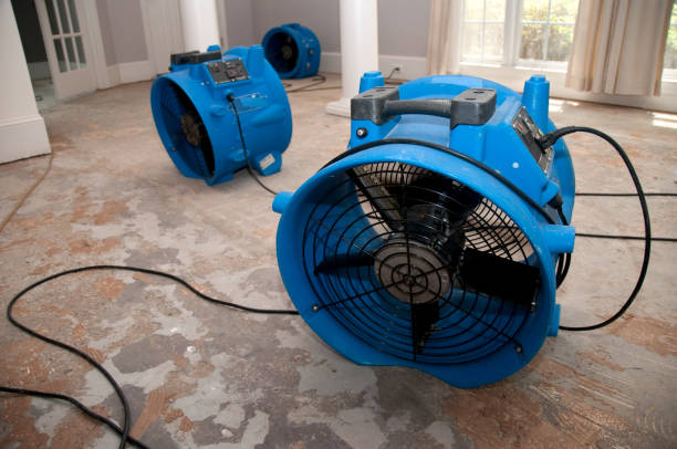 Best Flooded house restoration  in Corcoran, CA