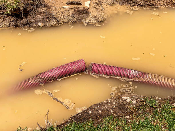 Water damage restoration mold remediation in Corcoran, CA