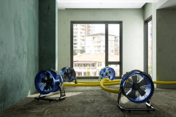 Best Water damage mitigation services  in Corcoran, CA